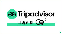 Tripadvisor 口碑评价